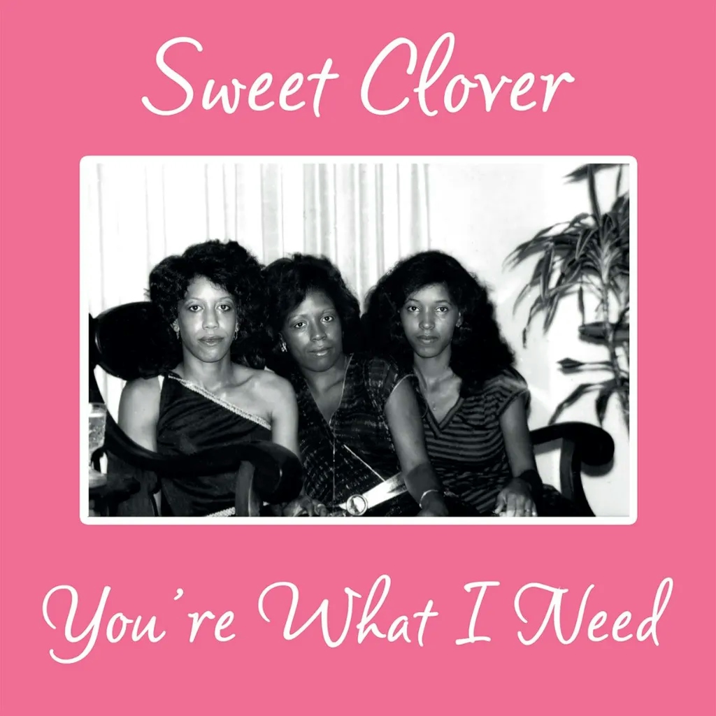 Album artwork for You’re What I Need by Sweet Clover 