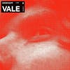 Album artwork for Vale by Simon Goff