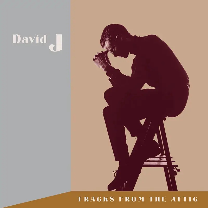 Album artwork for Tracks From The Attic by David J