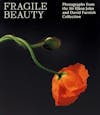 Album artwork for Fragile Beauty: Photographs from the Sir Elton John and David Furnish Collection by Duncan Forbes, Sam Taylor Johnson