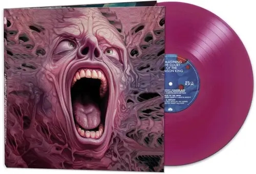 Album artwork for  Reimagining The Court Of The Crimson King  by Various Artists