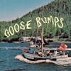 Album artwork for Goose Bumps by Boyscott