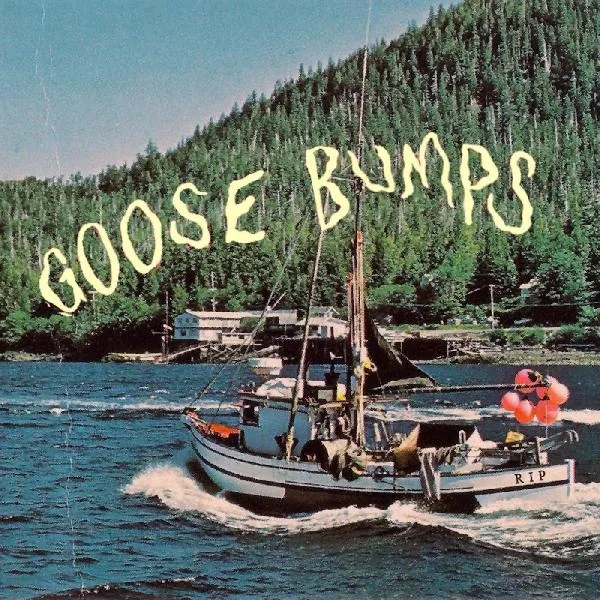 Album artwork for Goose Bumps by Boyscott