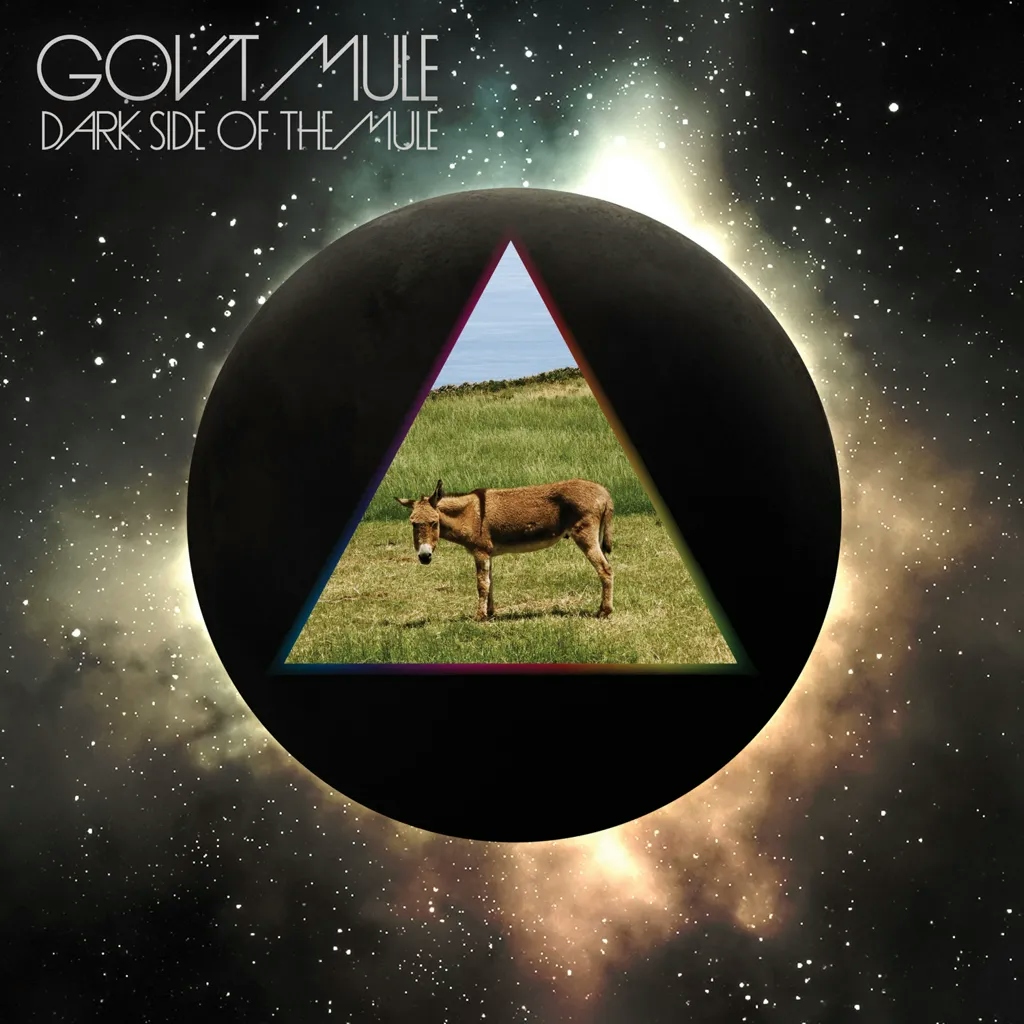 Album artwork for Dark Side of the Mule - The Mule Does Floyd! by Gov't Mule