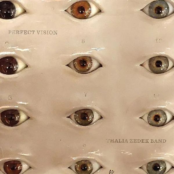 Album artwork for Perfect Vision by Thalia Zedek Band