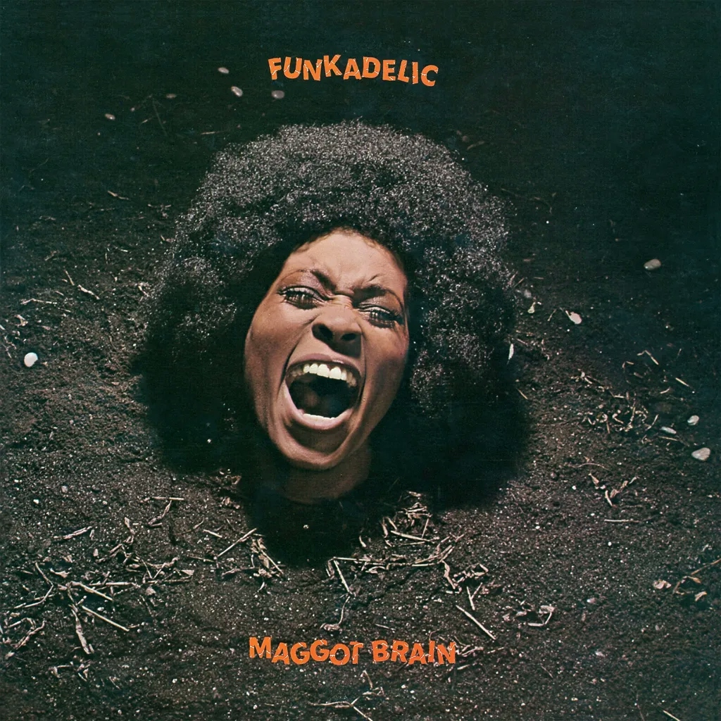 Album artwork for Maggot Brain by Funkadelic