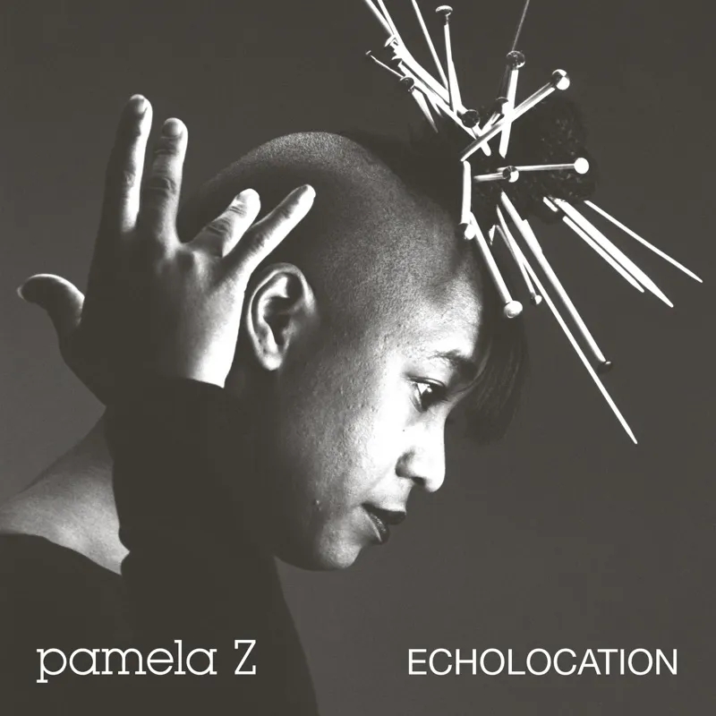 Album artwork for Echolocation by Pamela Z 