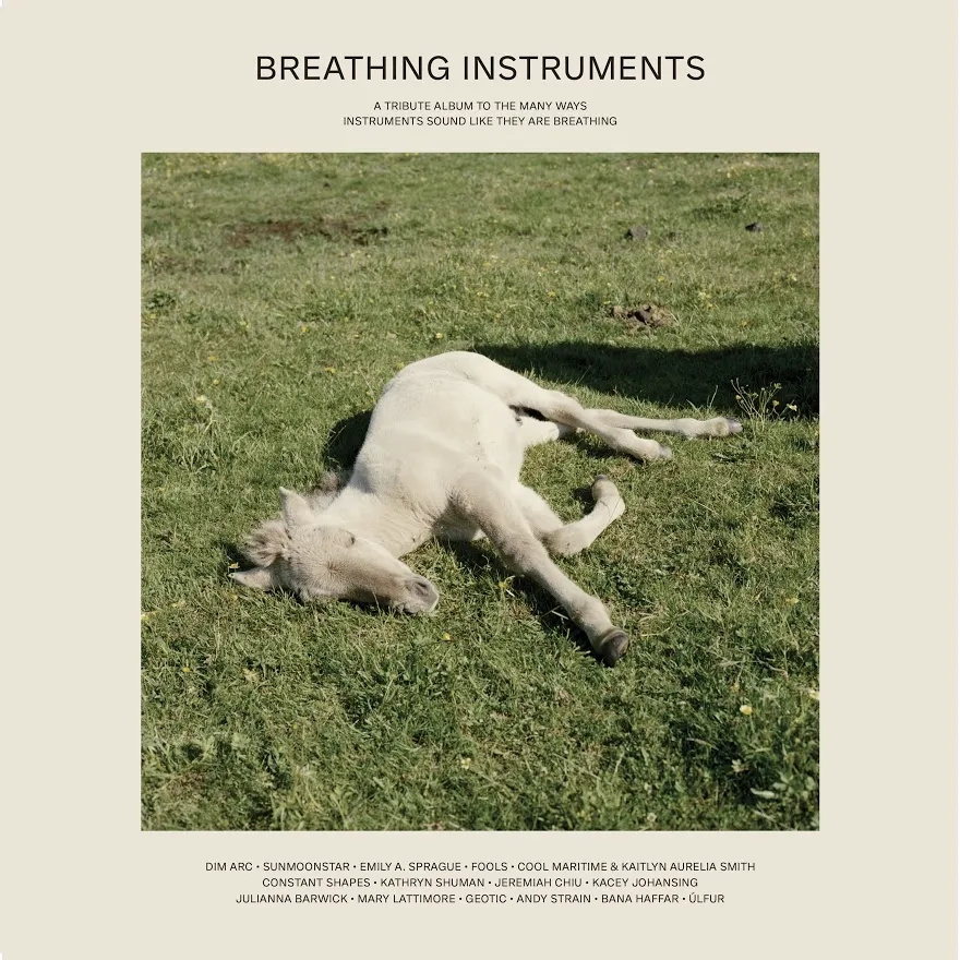 Album artwork for Breathing Instruments by Various