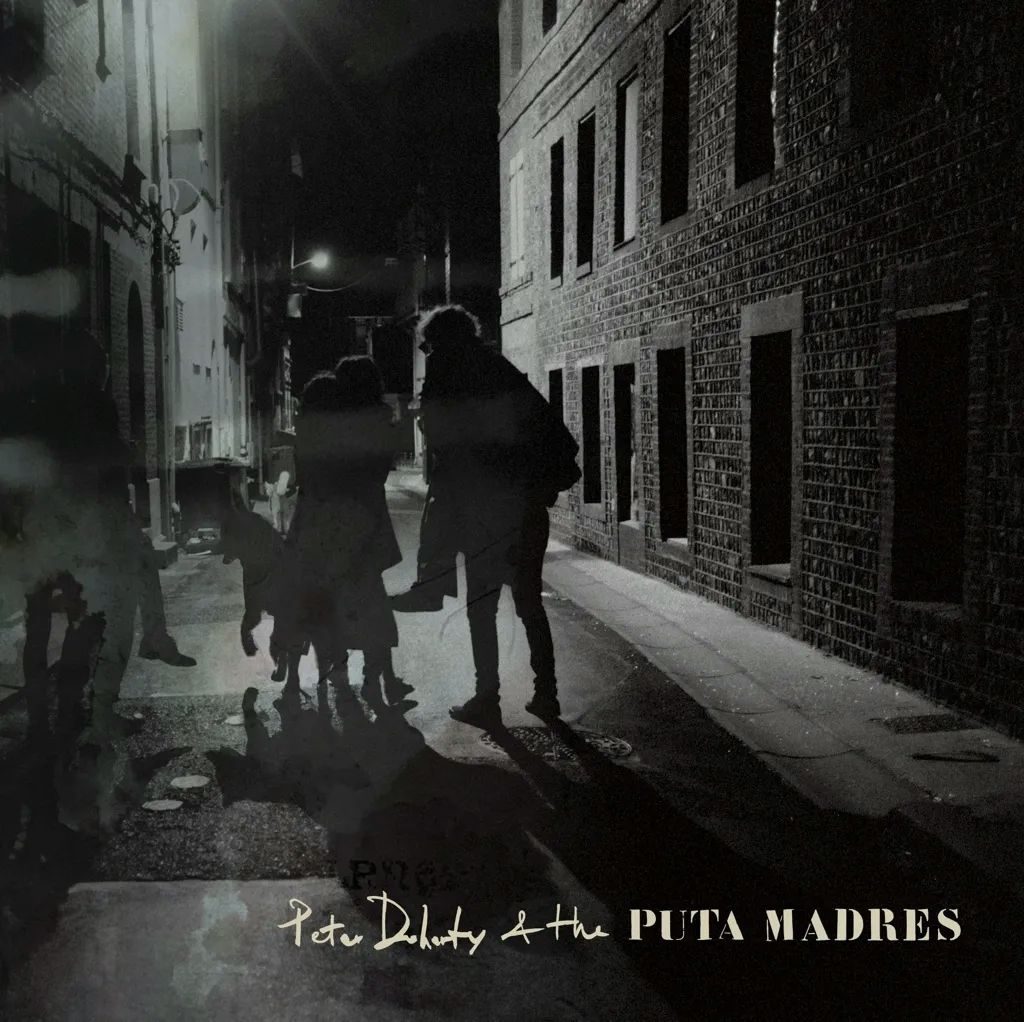 Album artwork for Who’s Been Having You Over / Paradise Is Under Your Nose by Peter Doherty and the Puta Madres