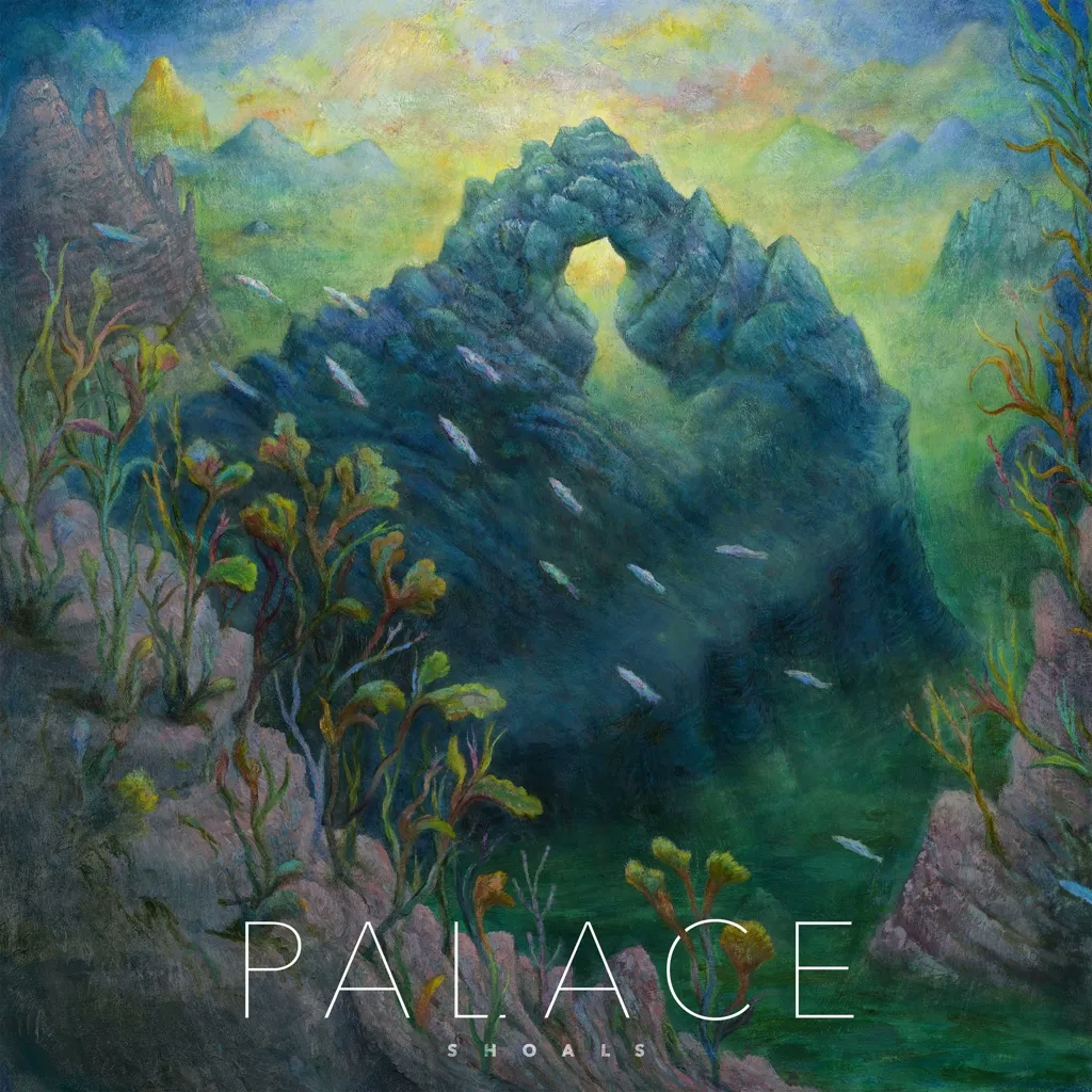 Album artwork for Shoals by Palace
