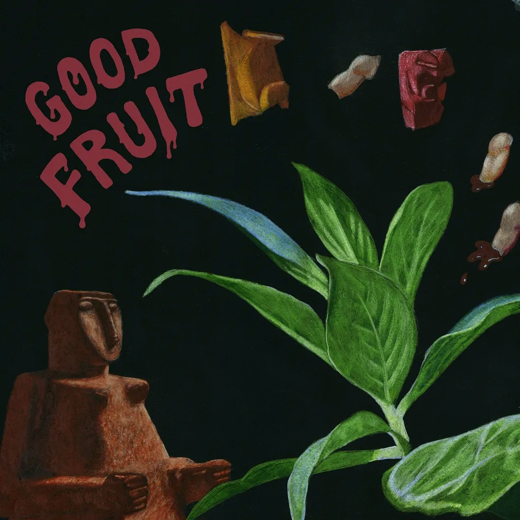 Album artwork for Good Fruit by Teen
