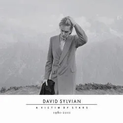 Album artwork for A Victim Of Stars (1982 - 2012) by David Sylvian