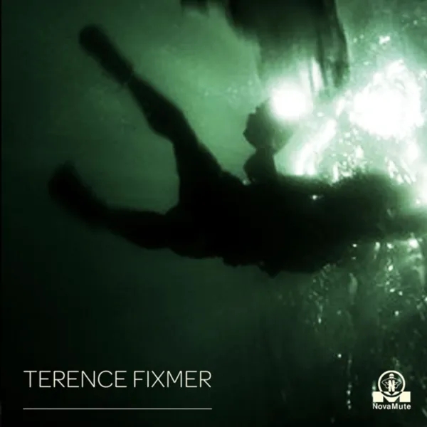 Album artwork for The Swarm EP by Terence Fixmer
