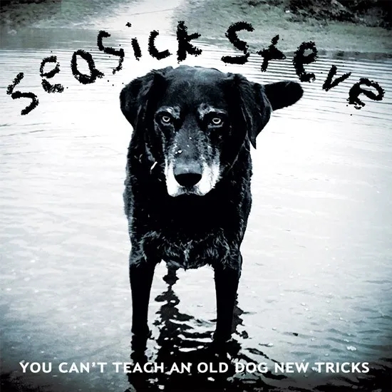 Album artwork for You Can't Teach An Old Dog New Tricks by Seasick Steve