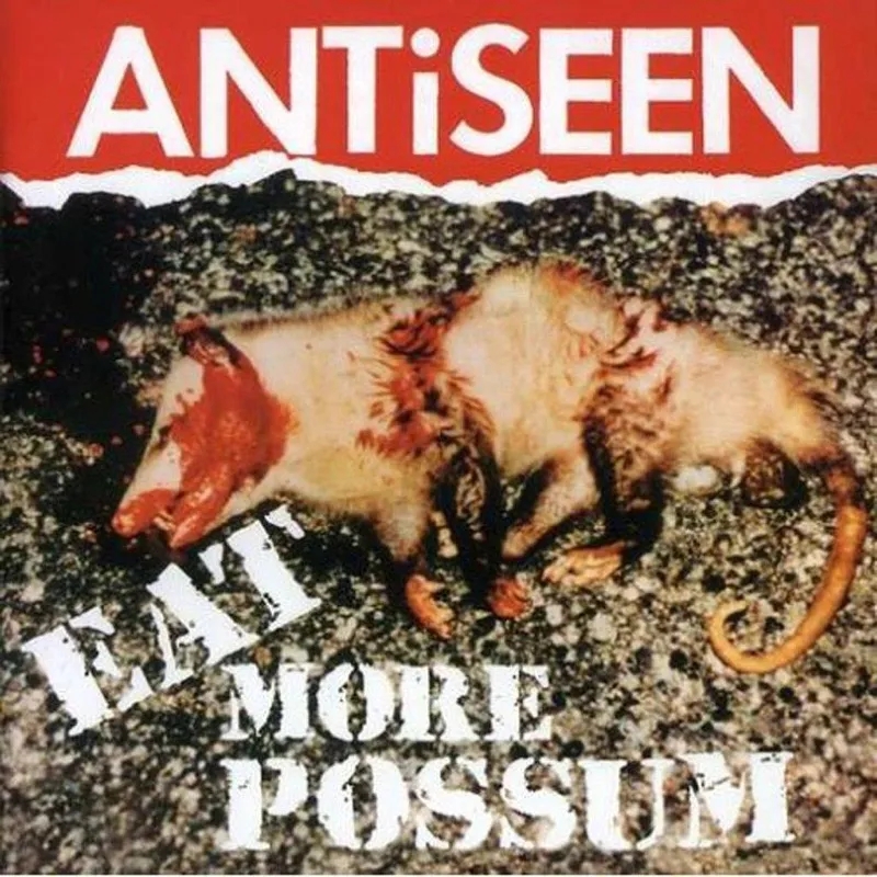 Album artwork for Eat More Possum by Antiseen