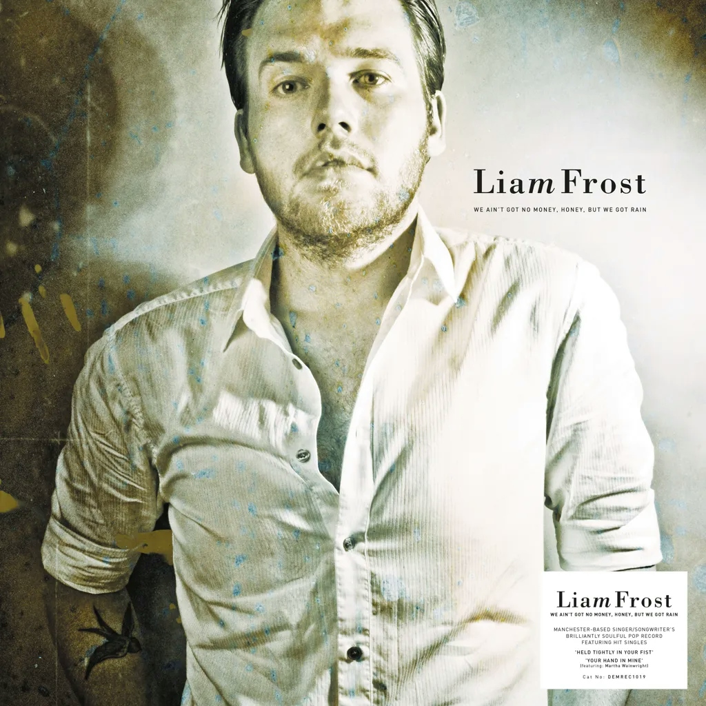 Album artwork for We Ain't Got No Money Honey, But We Got Rain by Liam Frost