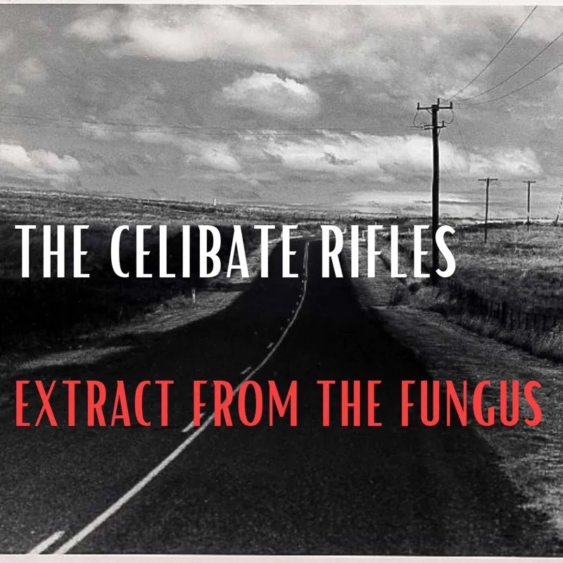 Album artwork for Extract from The Fungus by The Celibate Rifles