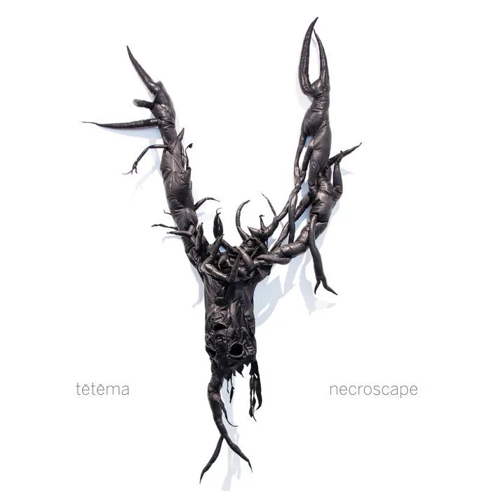 Album artwork for Necroscape by Te¯te¯ma