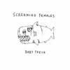 Album artwork for Baby Teeth by Screaming Females