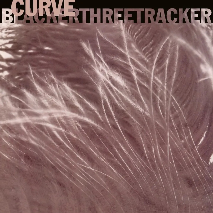 Album artwork for Blackerthreetracker  by Curve