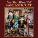 Album artwork for Now That's What I Call Fantastic Cat by Fantastic Cat