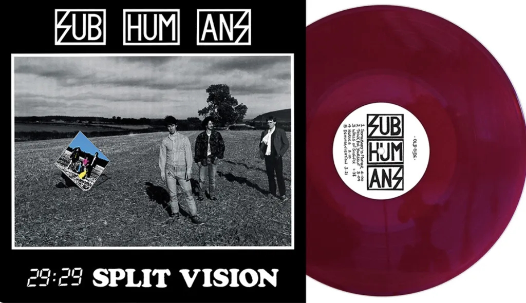 Album artwork for 29:29 Split Vision by Subhumans