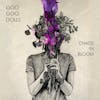 Album artwork for Chaos in Bloom by The Goo Goo Dolls