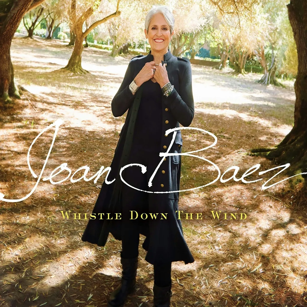 Album artwork for Whistle Down the Wind by Joan Baez