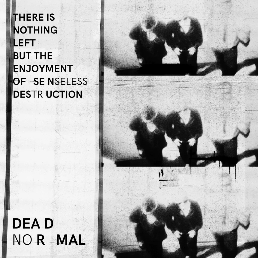 Album artwork for There Is Nothing Left But The Enjoyment Of Senseless Destruction by Dead Normal