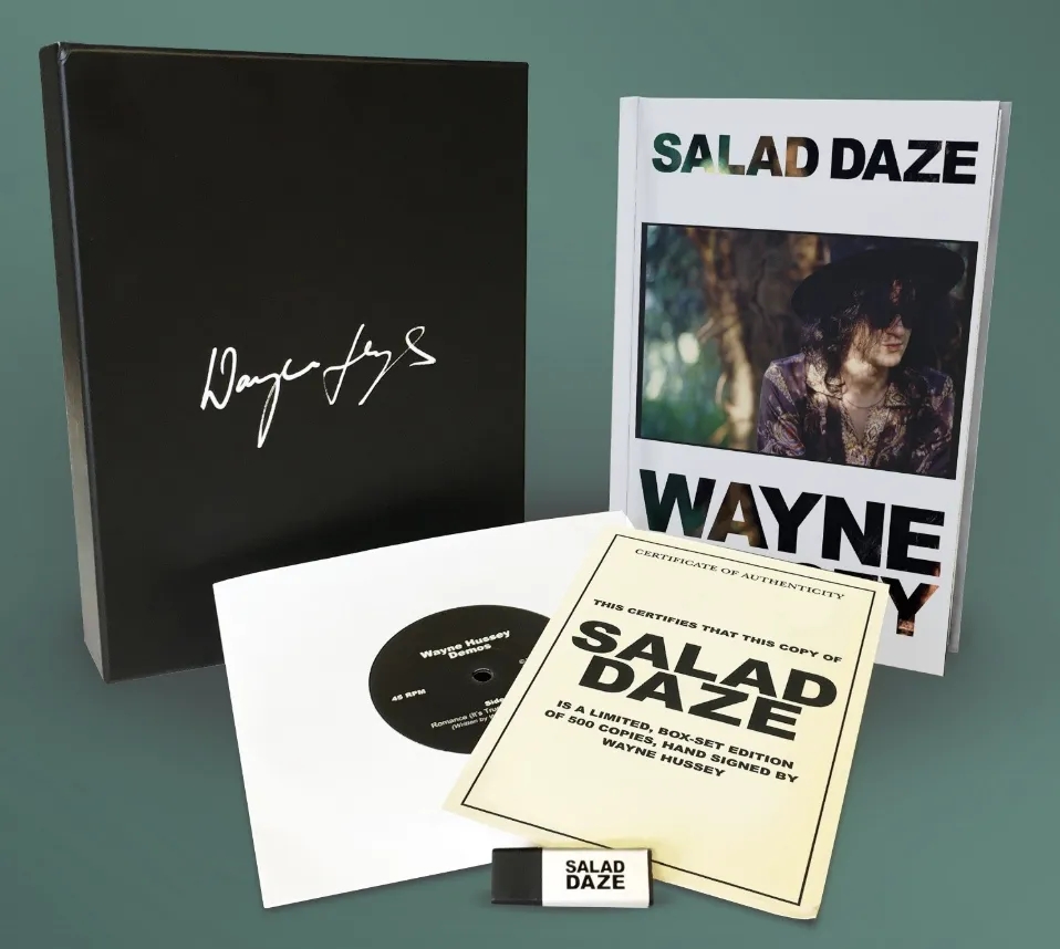 Album artwork for Salad Daze by Wayne Hussey