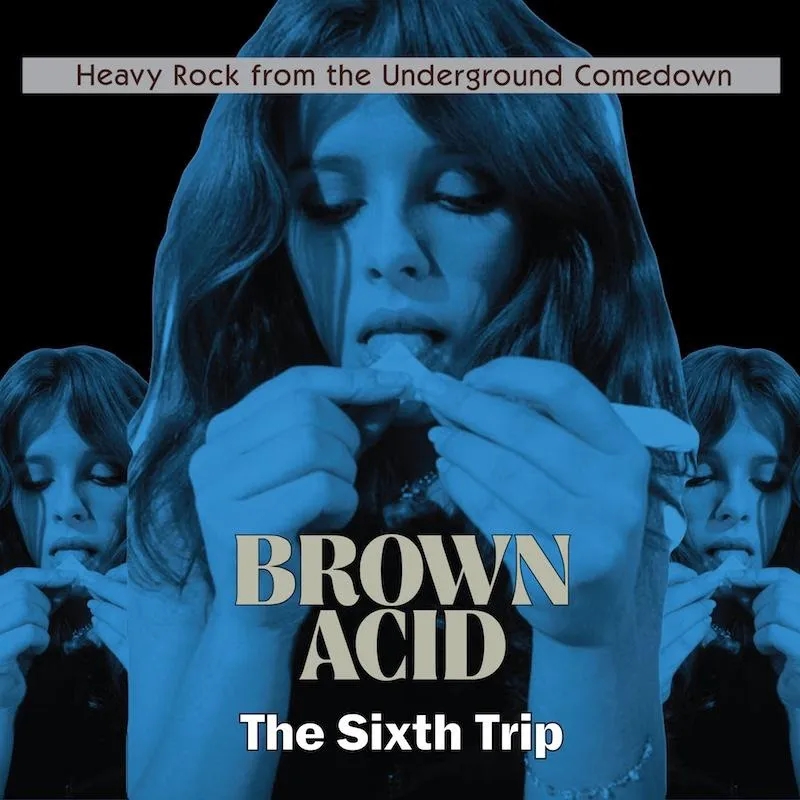 Album artwork for Brown Acid - The Sixth Trip by Various Artists