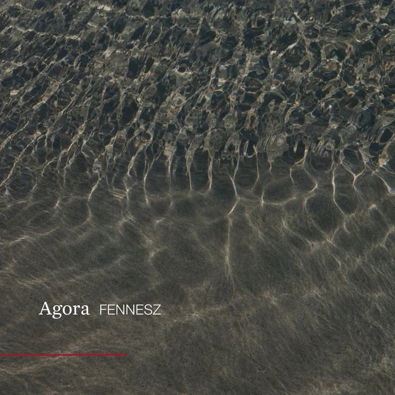 Album artwork for Agora by Fennesz