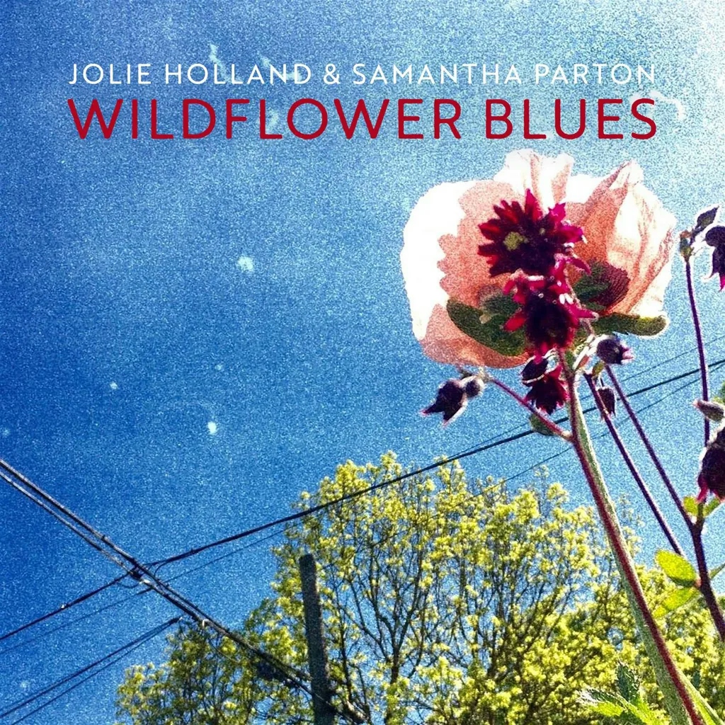 Album artwork for Wildflower Blues by Jolie Holland