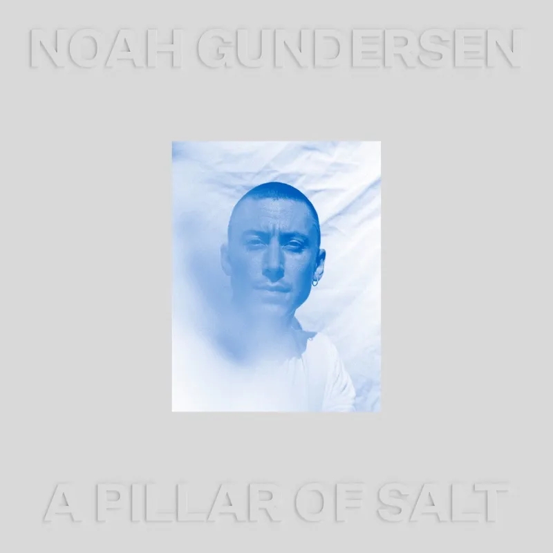 Album artwork for A Pillar of Salt by Noah Gundersen