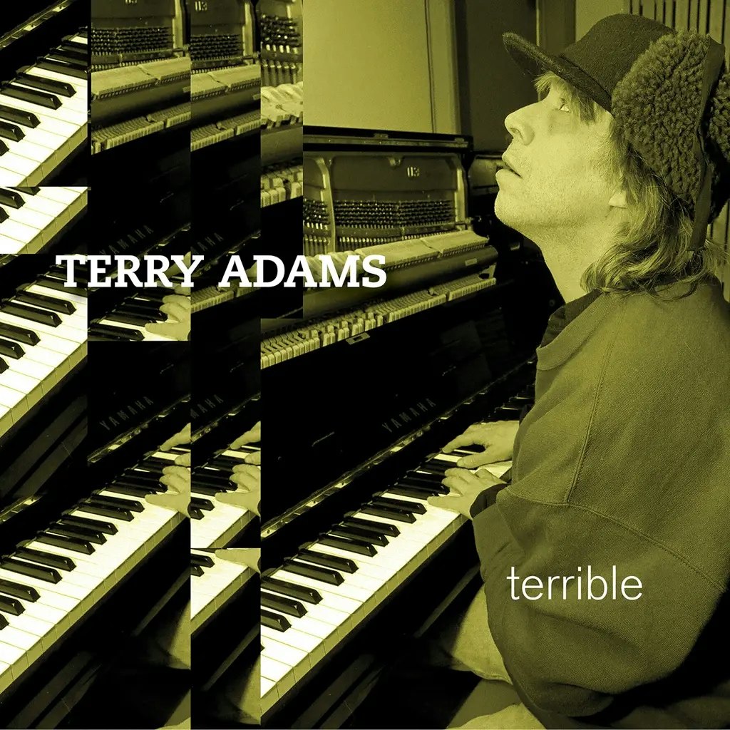 Album artwork for Terrible by Terry Adams