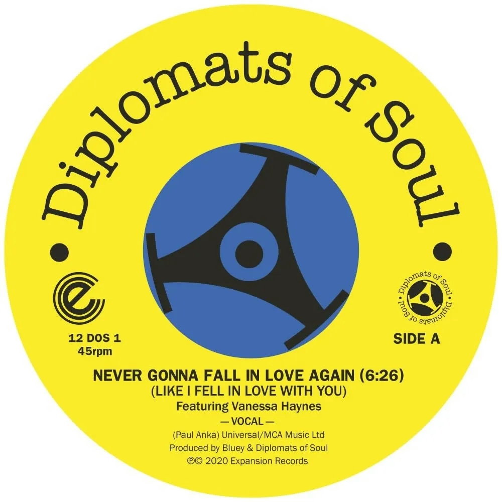 Album artwork for Never Gonna Fall In Love Again (Like I Fell In Love With You) by Diplomats Of Soul