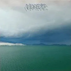 Album artwork for The Fruit That Ate Itself by Modest Mouse