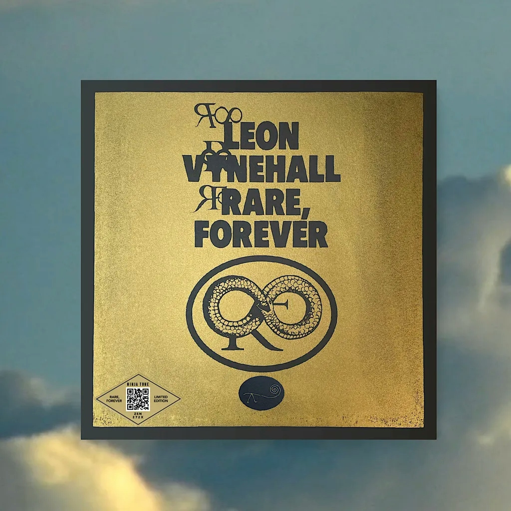 Album artwork for Rare, Forever by Leon Vynehall