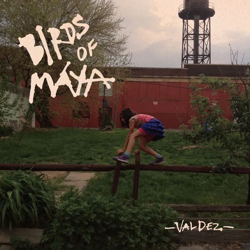 Album artwork for Valdez by Birds Of Maya