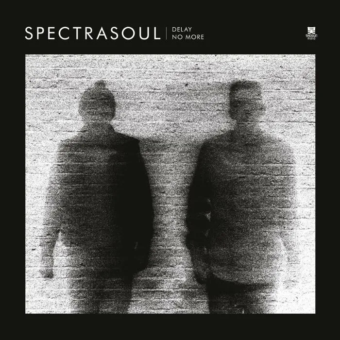 Album artwork for Delay No More - 10 Year Anniversary Edition by Spectrasoul