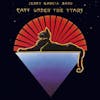Album artwork for Cats Under The Stars by Jerry Garcia