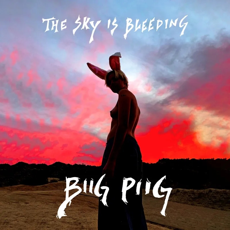 Album artwork for The Sky is Bleeding by Biig Piig