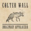 Album artwork for Imaginary Appalachia by Colter Wall