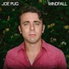 Album artwork for Windfall by Joe Pug