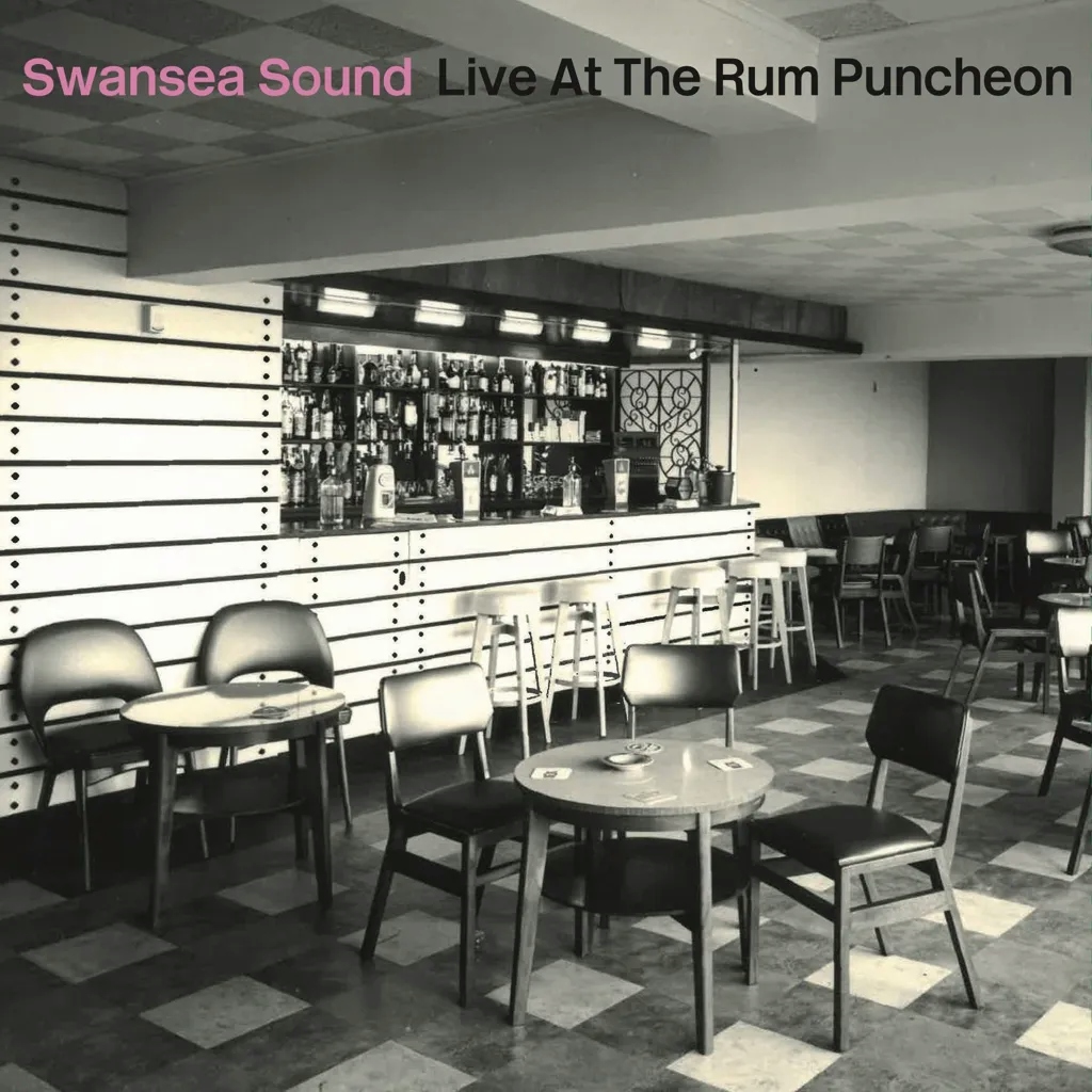 Album artwork for Live at the Rum Puncheon by Swansea Sound