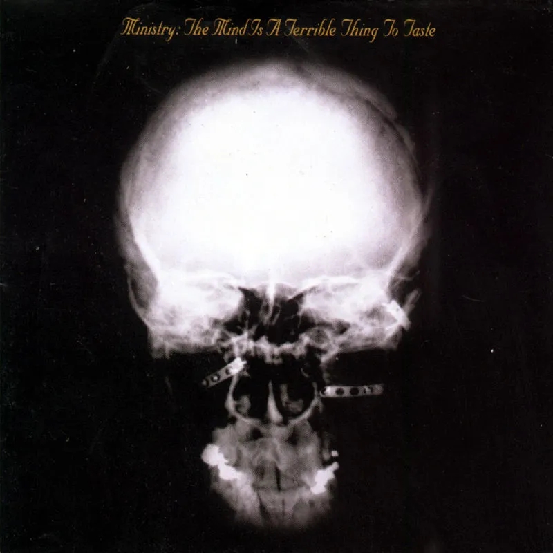 Album artwork for The Mind is a Terrible Thing to Taste by Ministry