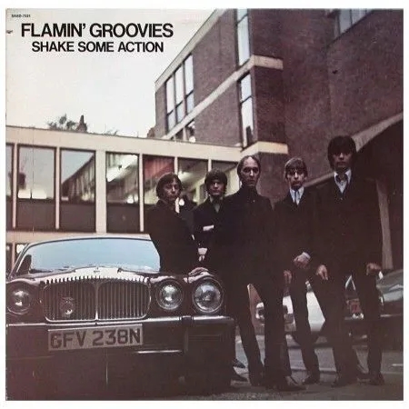 Album artwork for Shake Some Action. by The Flamin' Groovies