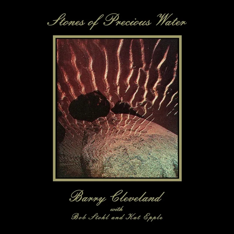 Album artwork for Stones Of Precious Water by Barry Cleveland