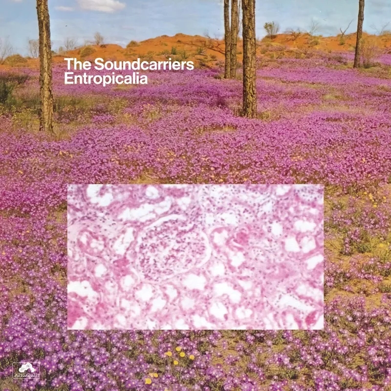 Album artwork for Entropicalia (Reissue) by The Soundcarriers