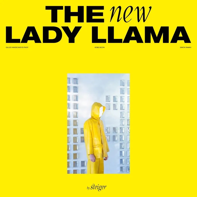 Album artwork for The New Lady Llama by Steiger